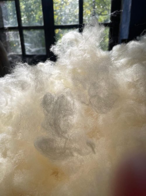 Le matériau naturel idéal le rembourrage des coussins et vos créations DIY